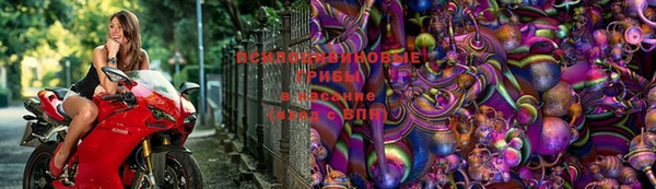 бошки Армянск