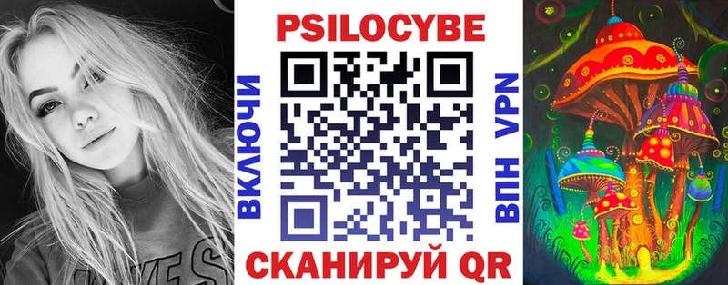 мега вход  Тайшет  Псилоцибиновые грибы мухоморы 